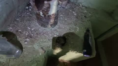 The century-old clay pipe hub exposed in the basement floor